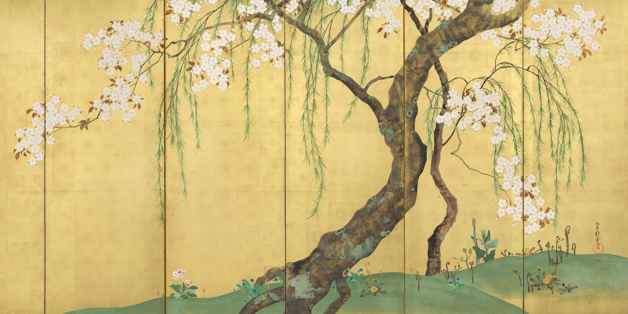 A gnarled cherry trunk leaning across gold leaf, its branches heavy with white blossom and trailing slender green fronds, above low green hills.